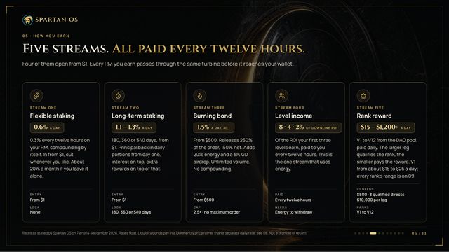 Slide 06: Five income streams