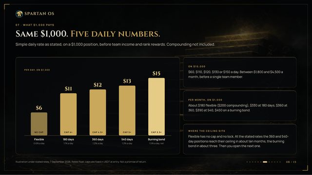 Slide 08: Daily rates and caps